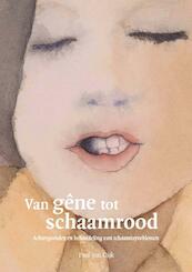 Van gêne tot schaamrood - Paul van Dijk (ISBN 9789085621041)
