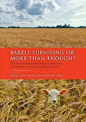 Barely surviving or more than enough ? - (ISBN 9789088901997)