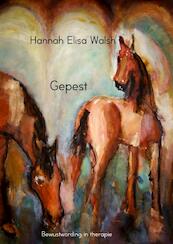 Misbruikt - Hannah Elisa Walsh (ISBN 9789402132915)