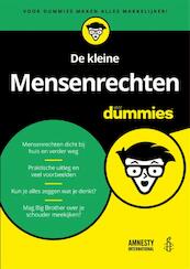 De kleine Mensenrechten voor Dummies - Daan Bronkhorst (ISBN 9789045351223)
