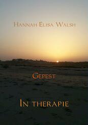 De terreuraanslag - Hannah Elisa Walsh (ISBN 9789402140217)