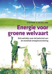 Energie voor groene welvaart - Stephan Slingerland (ISBN 9789461040428)