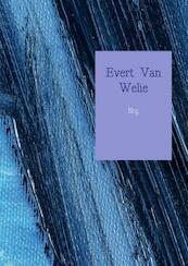 Blog - Evert Van Welie (ISBN 9789463184830)