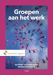 Groepen aan het werk - Jan Pieter van Oudenhoven, Hanneke Grutterink (ISBN 9789001876029)