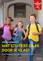 WAT STUITERT DAAR DOOR DE KLAS? - Anton Horeweg (ISBN 9789401441513)
