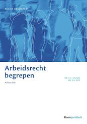 Arbeidsrecht begrepen - Hannie Geugjes, Erica Wits (ISBN 9789462904620)