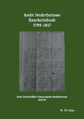 Ambt Nederbetuwe Resolutieboek 1799-1817 - P.D. Spies (ISBN 9789463456081)