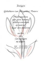 Zwijgen - Alexander Peters (ISBN 9789402199253)