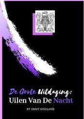 Volwassenen kleurboek De Grote Uitdaging : Uilen Van De Nacht - Emmy Sinclaire (ISBN 9789402199079)