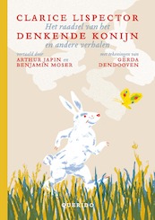 Het raadsel van het denkende konijn en andere verhalen - Clarice Lispector (ISBN 9789045123615)