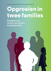 Opgroeien in 2 families - Yvonne Aartsen, Marieke KleinEntink, Gé Haans (ISBN 9789088509780)
