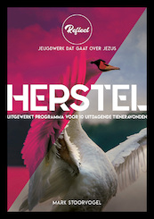Herstel - Mark Stoorvogel (ISBN 9789033834356)