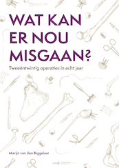 Wat kan er nou misgaan? - Marijn van den Biggelaar (ISBN 9789492881694)