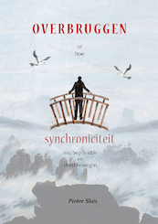 Synchroniciteit - Pieter Sluis (ISBN 9789493288546)