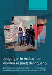 Jeugdigen in Aruba: hoe worden ze (niet) delinquent? - Hellen van der Wal (ISBN 9789088502422)