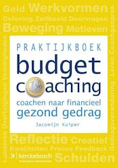 Praktijkboek budget coaching - Jacomijn Kuiper (ISBN 9789067205627)