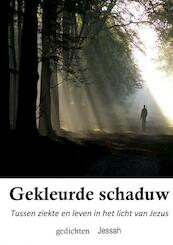 Gekleurde schaduw - Jessah Groenink (ISBN 9789463675581)
