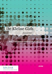De Kleine Gids Jeugdwet - Marieke Simons (ISBN 9789013153958)