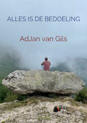 Alles is de bedoeling - Adjan Van Gils (ISBN 9789464486797)