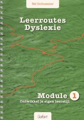 Leerroutes dyslexie Module 1 - Nel Hofmeester (ISBN 9789044132038)