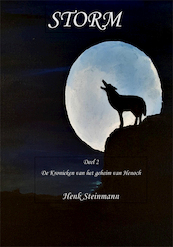 Storm - Henk Steinmann (ISBN 9789493240025)