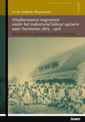 De nieuwe awatar van slavernij - Radjinder Bhagwanbali (ISBN 9789074897587)