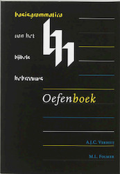 Basisgrammatica van het Bijbels Hebreeuws Oefenboek - A.J.C. Verheij, M.L. Folmer (ISBN 9789059720299)
