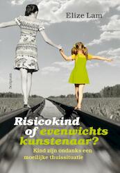 Risicokind of evenwichtskunstenaar ? - Elize Lam (ISBN 9789463190244)