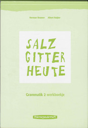 Salzgitter Heute Grammatik 2 Werkboekje - H. Beumer, A. Ruijter (ISBN 9789006210422)