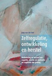 Hersenen, gedrag en hulpverlening - Jaap van der Stel (ISBN 9789088502194)