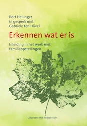 Erkennen wat er is - Gabriele ten Hovel (ISBN 9789492331021)