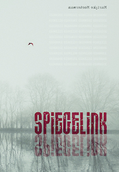 Spiegelink - Marijke Mosterman (ISBN 9789463651004)