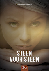 Steen voor steen - Jacodine van de Velde (ISBN 9789044841084)