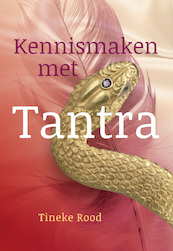 Van Taboe naar Tantra - Tineke Rood (ISBN 9789460151729)