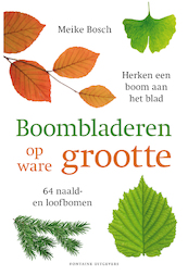 Boombladeren op ware grootte - Meike Bosch (ISBN 9789059568419)