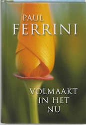 Volmaakt in het nu - P. Ferrini (ISBN 9789020283716)