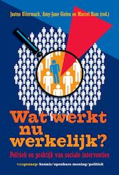 Wat werkt nu werkelijk? - Justus Uitermark, Amy-jane Gielen, Marcel Ham (ISBN 9789461649560)