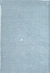 IX-9 Ordinis noni tomus nonus - J. Bloemendal, C. Asso, J. Céard, C. E. Fantazz, J. Trapman (ISBN 9789004375581)
