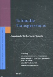 Talmudic Transgressions - Charlotte Elisheva Fonrobert (ISBN 9789004345324)