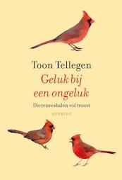 Geluk bij een ongeluk - Toon Tellegen (ISBN 9789021455259)