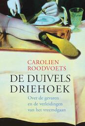 De duivelsdriehoek - Carolien Roodvoets (ISBN 9789069639482)