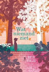 Wat niemand ziet - Martijn Niemeijer (ISBN 9789025869632)