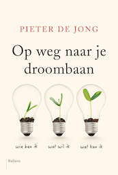 Op weg naar je droombaan - Pieter de Jong (ISBN 9789463820417)