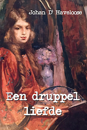 Een druppel liefde - Johan D'Haveloose (ISBN 9789493023482)