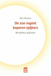De zon regent koperen spijkers - Bart Plouvier (ISBN 9789464340112)