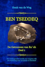 Ben Tseddeq - Henk van de Weg (ISBN 9789493351011)