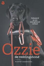 Ozzie, de reddingshond - Maarten Jagermeester (ISBN 9789057205019)