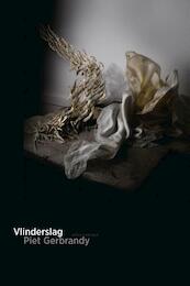 Vlinderslag - Piet Gerbrandy (ISBN 9789025442033)