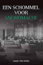 Een schommel voor Andromache - Hans ter Mors (ISBN 9789051798982)