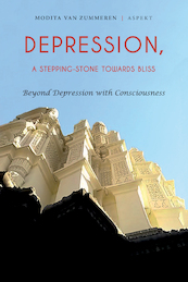Depression - Modita van Zummeren (ISBN 9789463385152)